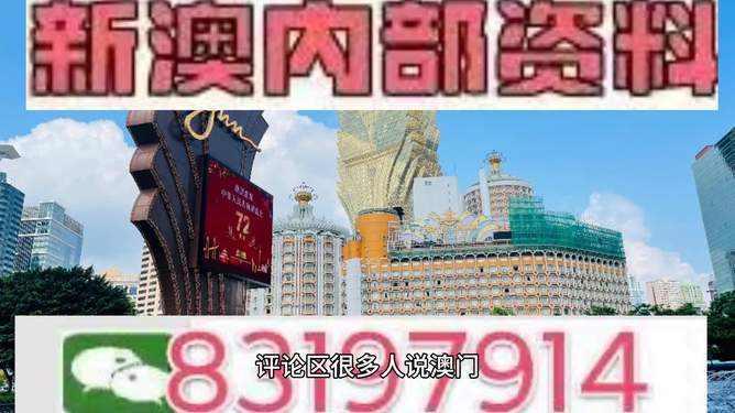 澳門特馬今天開獎結果及彩票背后的故事，澳門特馬今天開獎結果與彩票背后的故事揭秘