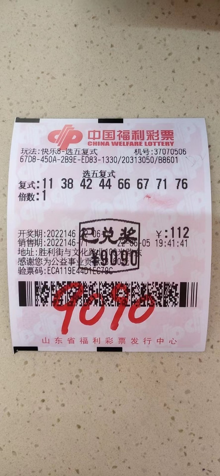 揭秘002期王中王平特一肖，背后的故事與奧秘，揭秘王中王平特一肖背后的故事與奧秘（第002期）