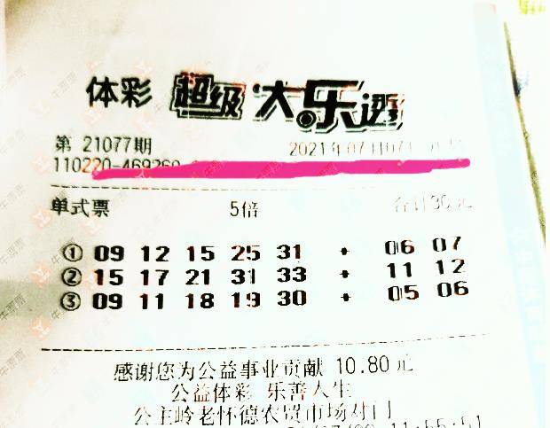 王中王077期指一生肖——揭秘背后的奧秘與生肖運(yùn)勢(shì)分析，揭秘生肖奧秘與運(yùn)勢(shì)分析，王中王生肖預(yù)測(cè)077期揭曉！