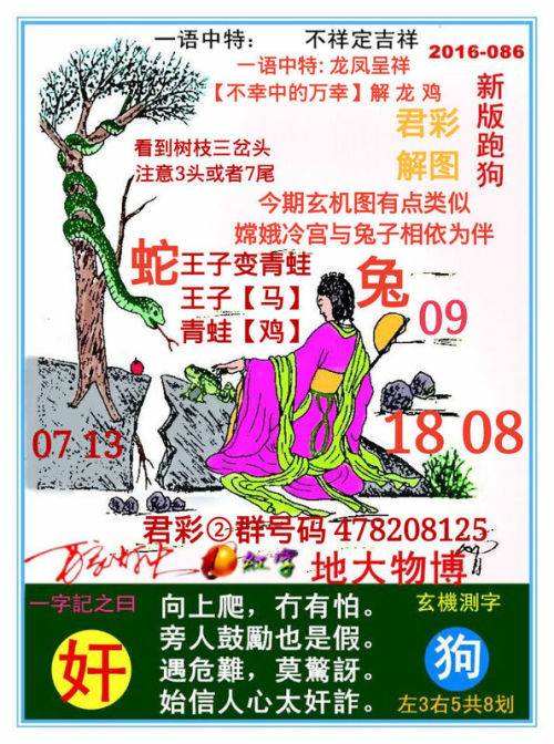 全新正版7777788888跑狗圖——你的選擇，成功的起點(diǎn)，正版跑狗圖7777788888——成功之路從這里起步