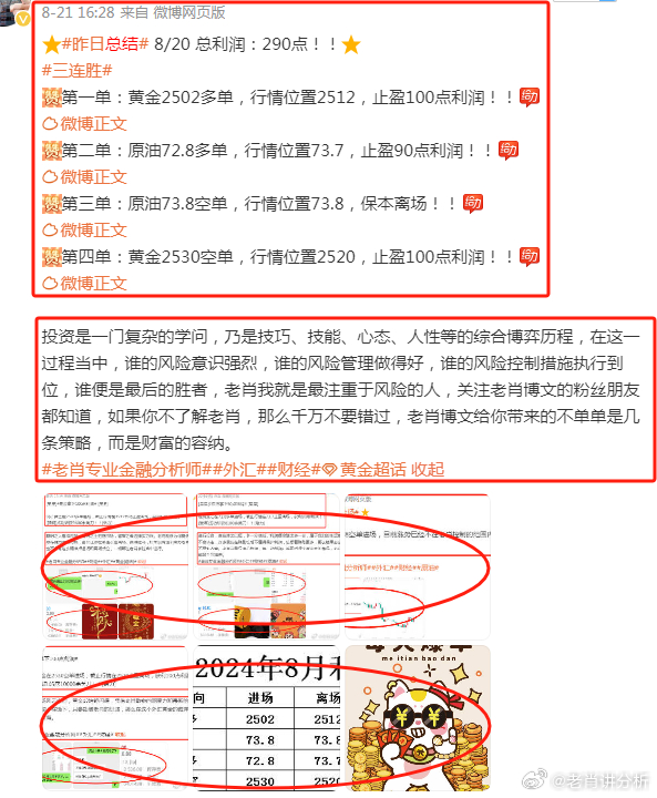 王中王富婆中一肖——揭秘背后的故事與真相，揭秘王中王富婆中一肖背后的真相與故事