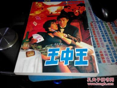王中王資料一肖中特小說，深度解析與探索，王中王資料一肖中特小說的深度解析與探索之旅