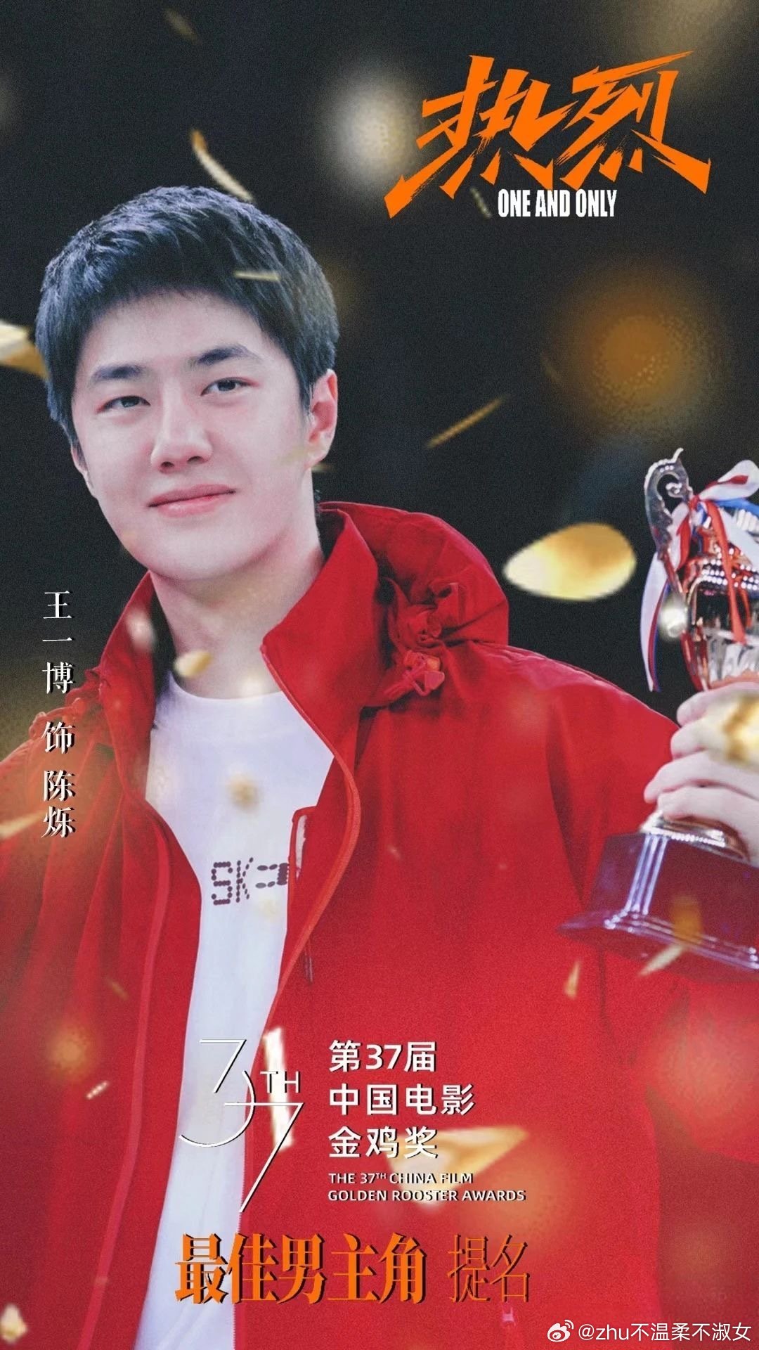王中王一肖一特一中一中，探尋背后的故事與奧秘，探尋王中王一肖背后的故事與奧秘