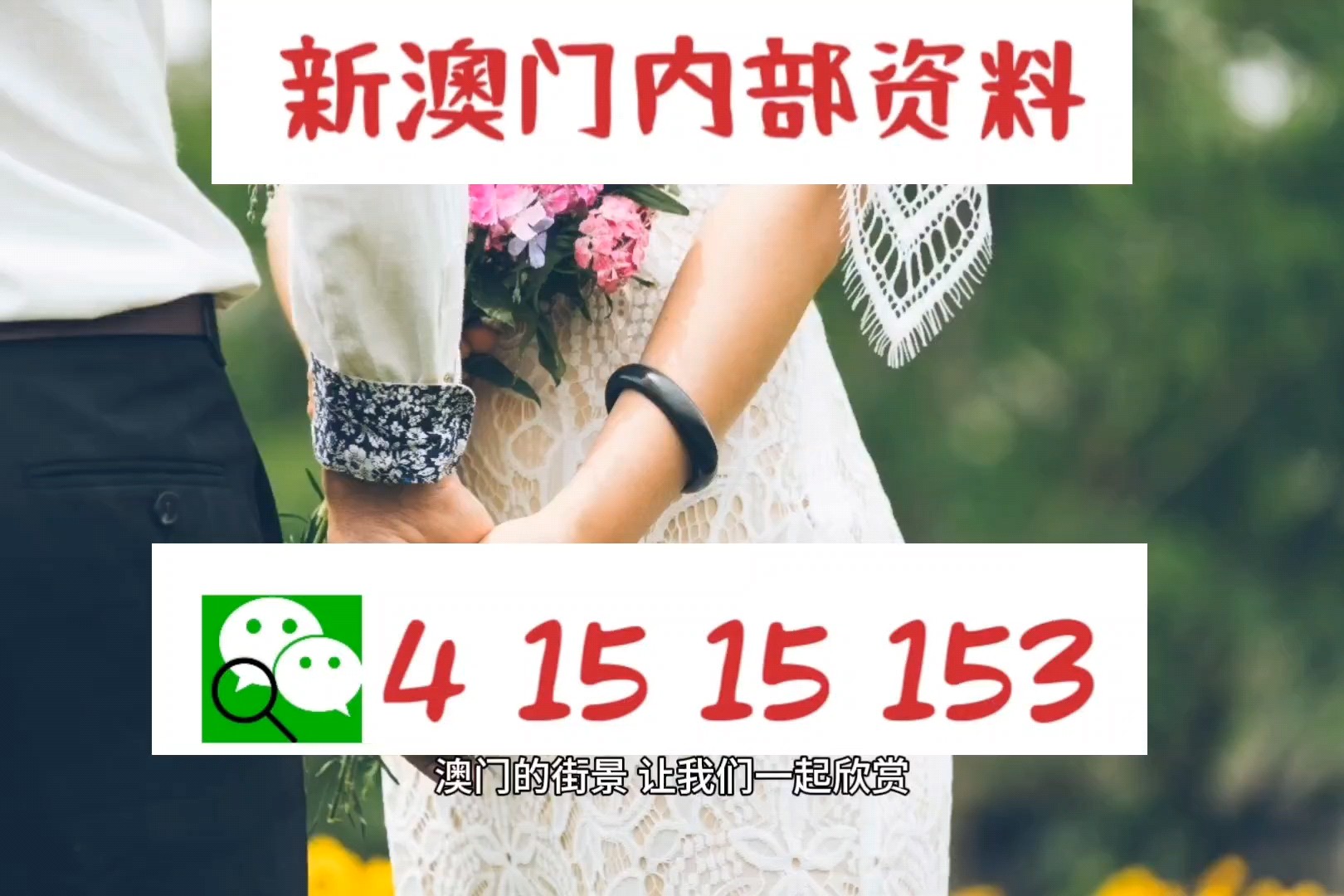 新澳精準資料，深度解析與探索，新澳精準資料深度解析與探索之旅