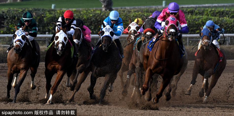 王中王與一馬中特，探尋生肖之魅力——關于生肖屬相的獨特解讀，揭秘生肖魅力，王中王與一馬中特的獨特解讀