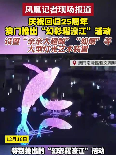新澳門六開(kāi)獎(jiǎng)結(jié)果查詢濠江論壇——快速獲取開(kāi)獎(jiǎng)信息的首選平臺(tái)，澳門六開(kāi)獎(jiǎng)結(jié)果查詢首選平臺(tái)，濠江論壇快速更新開(kāi)獎(jiǎng)信息
