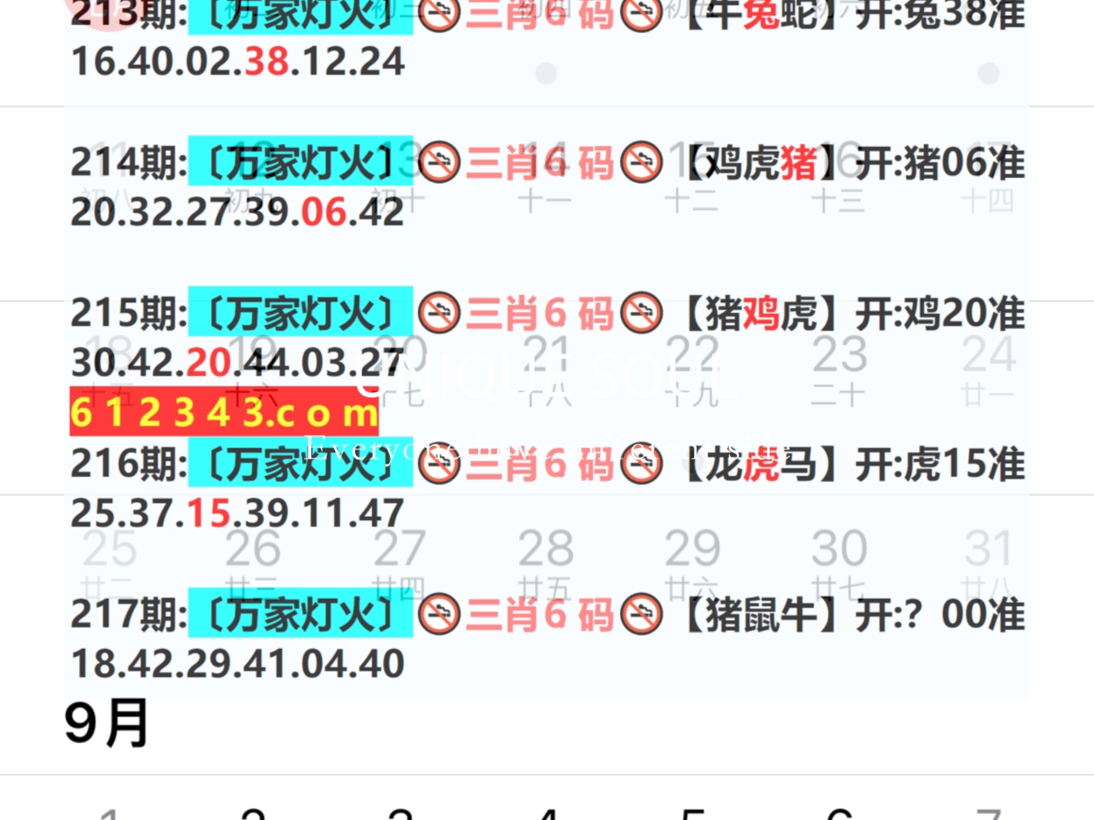 新奧今日六肖中特，揭秘背后的秘密與趨勢(shì)分析，揭秘新奧今日六肖中特背后的秘密與趨勢(shì)分析