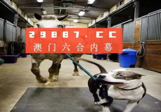 澳門一肖一碼一必中一肖，同舟前進的奧秘與策略，澳門一肖一碼必中策略與前進奧秘，同舟共濟的揭秘與策略