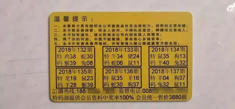 香港中特期期準(zhǔn)資料，深度解析與探索，香港中特期期準(zhǔn)資料深度解析與探索報告