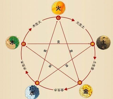鐵算算盤4887最準資料，揭秘其背后的秘密與優(yōu)勢，揭秘鐵算算盤4887，最準資料背后的秘密與優(yōu)勢
