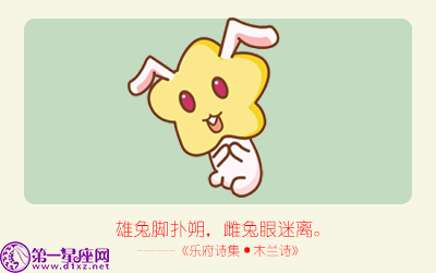 揭秘精準(zhǔn)生肖，探尋神奇的數(shù)字組合777778與888888背后的生肖秘密，揭秘生肖秘密，數(shù)字組合777778與888888背后的生肖傳奇