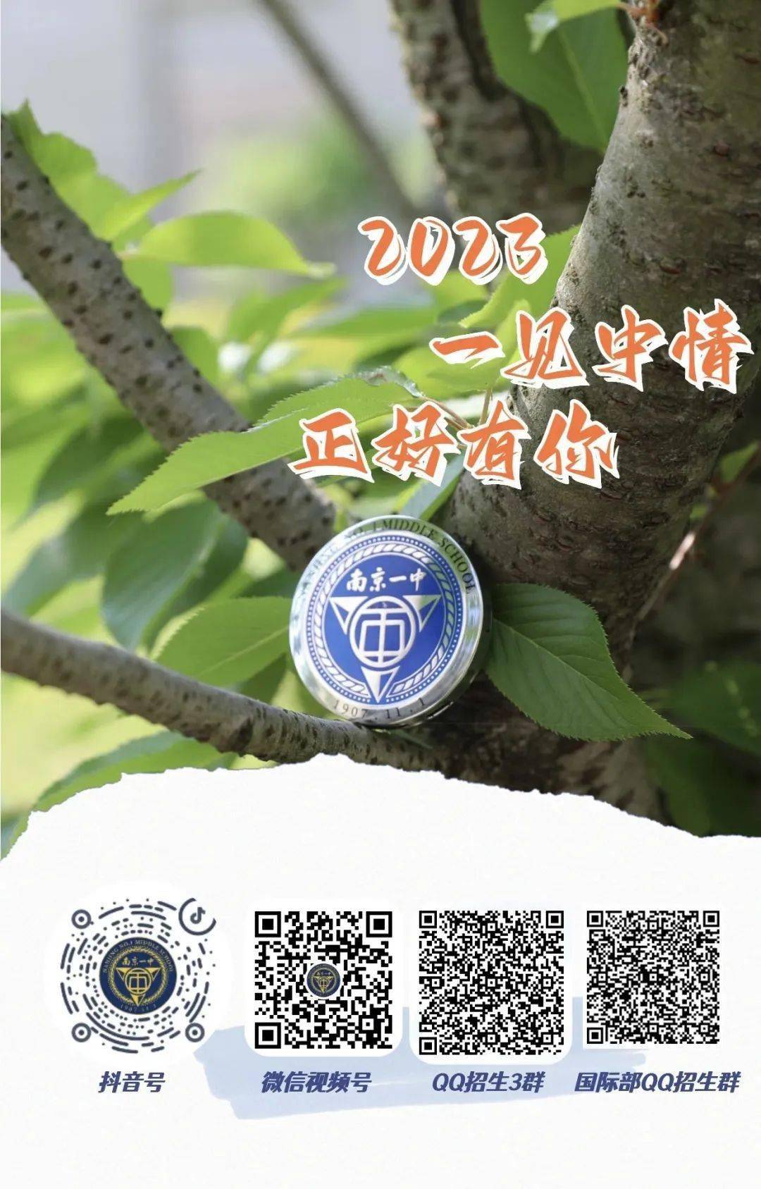 一碼一肖一特一中，揭秘背后的秘密與奧秘，揭秘一碼一肖一特一中背后的秘密奧秘