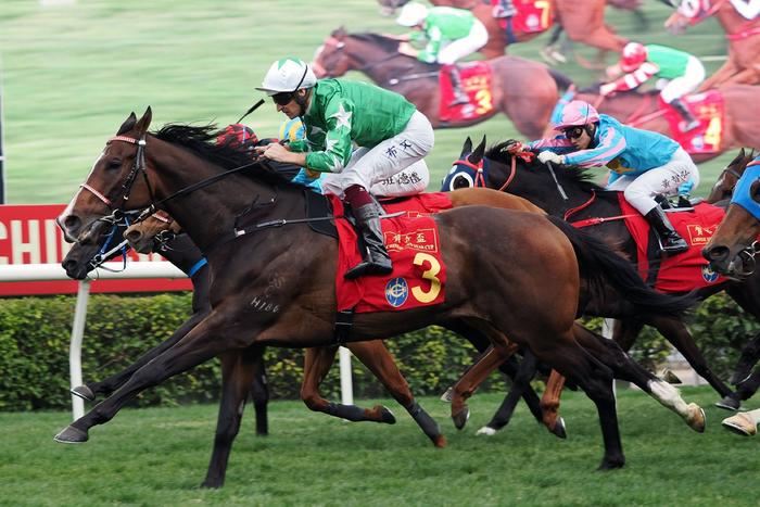 探索香港馬官網(wǎng)，一站式體驗7777788888的賽馬世界，探索香港馬官網(wǎng)，一站式賽馬世界體驗