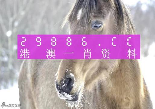 澳門一肖一碼，揭秘一個(gè)關(guān)于精準(zhǔn)預(yù)測(cè)背后的故事，澳門一肖一碼揭秘，精準(zhǔn)預(yù)測(cè)背后的神秘故事