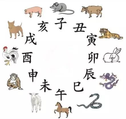 澳門(mén)天天彩期期精準(zhǔn)十二生肖預(yù)測(cè)——揭秘彩票秘密，澳門(mén)天天彩期期精準(zhǔn)十二生肖預(yù)測(cè)，揭秘彩票秘密之獨(dú)家解析