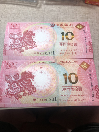 揭秘明天澳門必中生肖的神秘面紗，揭秘明天澳門必中生肖的神秘秘密
