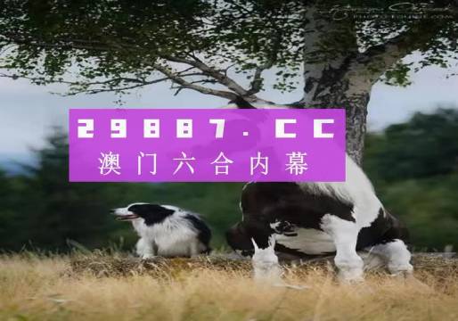 揭秘7777788888精準(zhǔn)新跑狗——全方位解讀與體驗(yàn)，揭秘精準(zhǔn)新跑狗，全方位解讀與體驗(yàn)7777788888跑狗秘籍