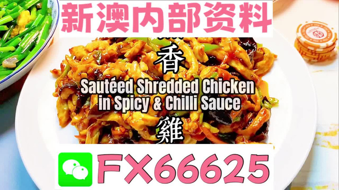探索未來，揭秘2025年全新免費資料大全新奧精的來源與免費共享趨勢，揭秘未來，2025年全新免費資料的共享趨勢與來源探索