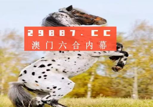 白小姐的精準(zhǔn)免費四肖，揭秘背后的秘密，揭秘白小姐精準(zhǔn)免費四肖背后的秘密