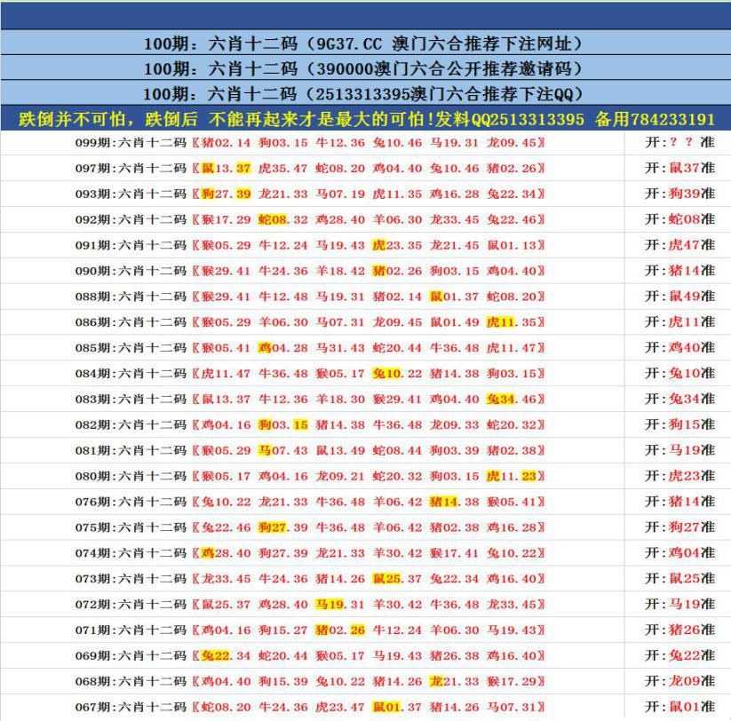 澳門無錯九肖今日搜狗，探索與解析，澳門無錯九肖今日搜狗，深度解析與探索