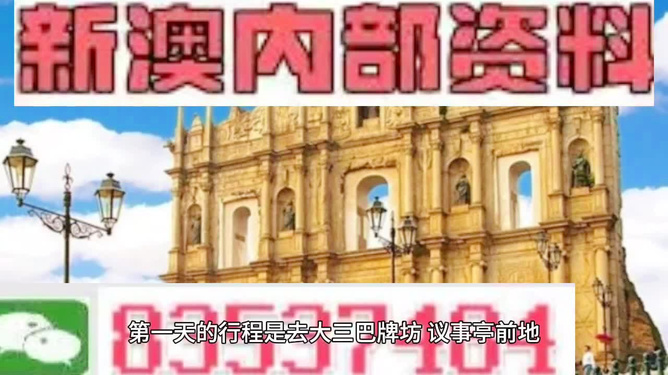 新澳門(mén)精準(zhǔn)資料大全管家婆料，探索與解析，澳門(mén)精準(zhǔn)資料大全解析，探索管家婆料內(nèi)幕