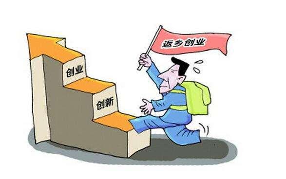 鳳凰網下的管家婆，7777788888背后的故事，鳳凰網管家婆背后的故事，揭秘數(shù)字7777788888的神秘面紗