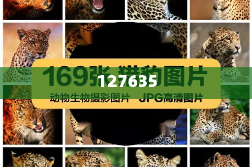 精準(zhǔn)新傳真，揭秘數(shù)字組合7777788888的神秘面紗，揭秘數(shù)字組合7777788888的神秘面紗，精準(zhǔn)新傳真解讀