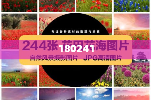 揭秘精準(zhǔn)管家婆狗，77777與88888的神秘面紗，揭秘精準(zhǔn)管家婆狗，神秘?cái)?shù)字77777與88888背后的秘密