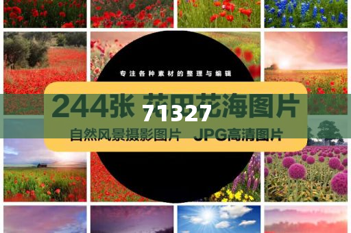 探索777788888管家婆網(wǎng)，一站式解決方案的綜合服務(wù)平臺(tái)，一站式解決方案的綜合服務(wù)平臺(tái)，探索777788888管家婆網(wǎng)
