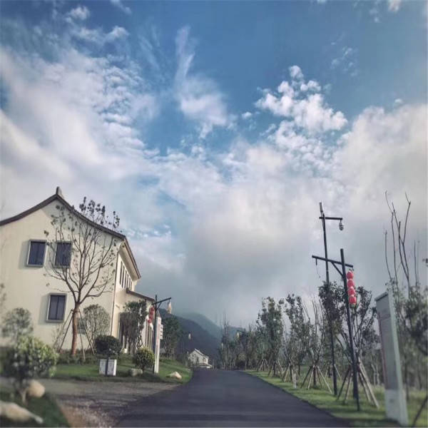 新奧今晚開(kāi)一肖一特講解詞語(yǔ)，揭秘生肖與特肖的獨(dú)特魅力，揭秘生肖與特肖的獨(dú)特魅力，新奧今晚一開(kāi)一特講解詞語(yǔ)
