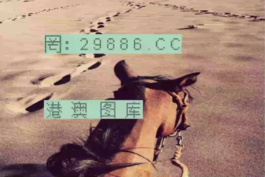 香港特馬資料王中王，揭秘背后的秘密，揭秘香港特馬資料王中王的背后秘密