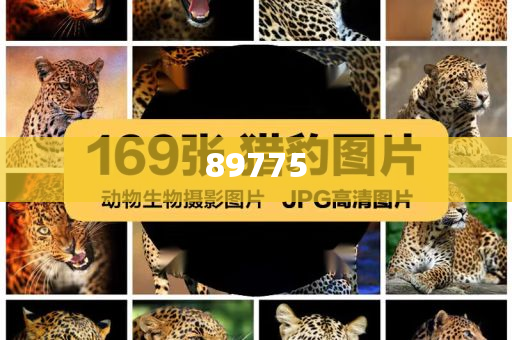 關(guān)于新奧歷史開獎(jiǎng)記錄的最新信息，今天公布了嗎？，新奧歷史開獎(jiǎng)記錄最新信息公布了嗎？