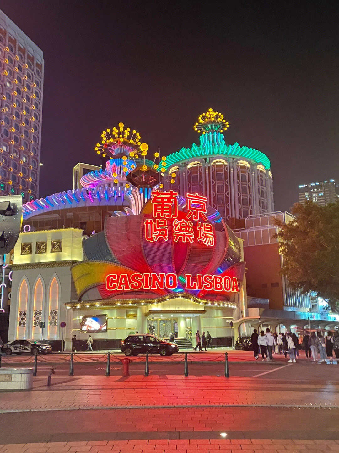 澳門今晚必開一肖一特芳草地，探索生肖與運(yùn)勢(shì)的神秘面紗，澳門生肖運(yùn)勢(shì)揭秘，探索今晚必開一肖一特芳草地神秘面紗的運(yùn)勢(shì)之旅