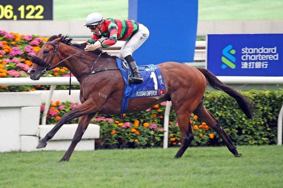 香港馬賽事，探索數(shù)字背后的激情與榮耀 7777788888，香港馬賽事，數(shù)字背后的激情與榮耀