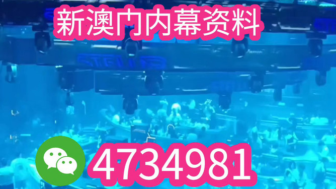 揭秘未來之星，2025新澳王中王，揭秘未來之星，2025新澳王中王風(fēng)采展示