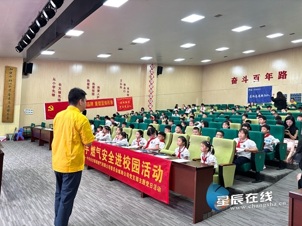 新奧49正版資料，探索與解析，新奧49正版資料深度探索與解析