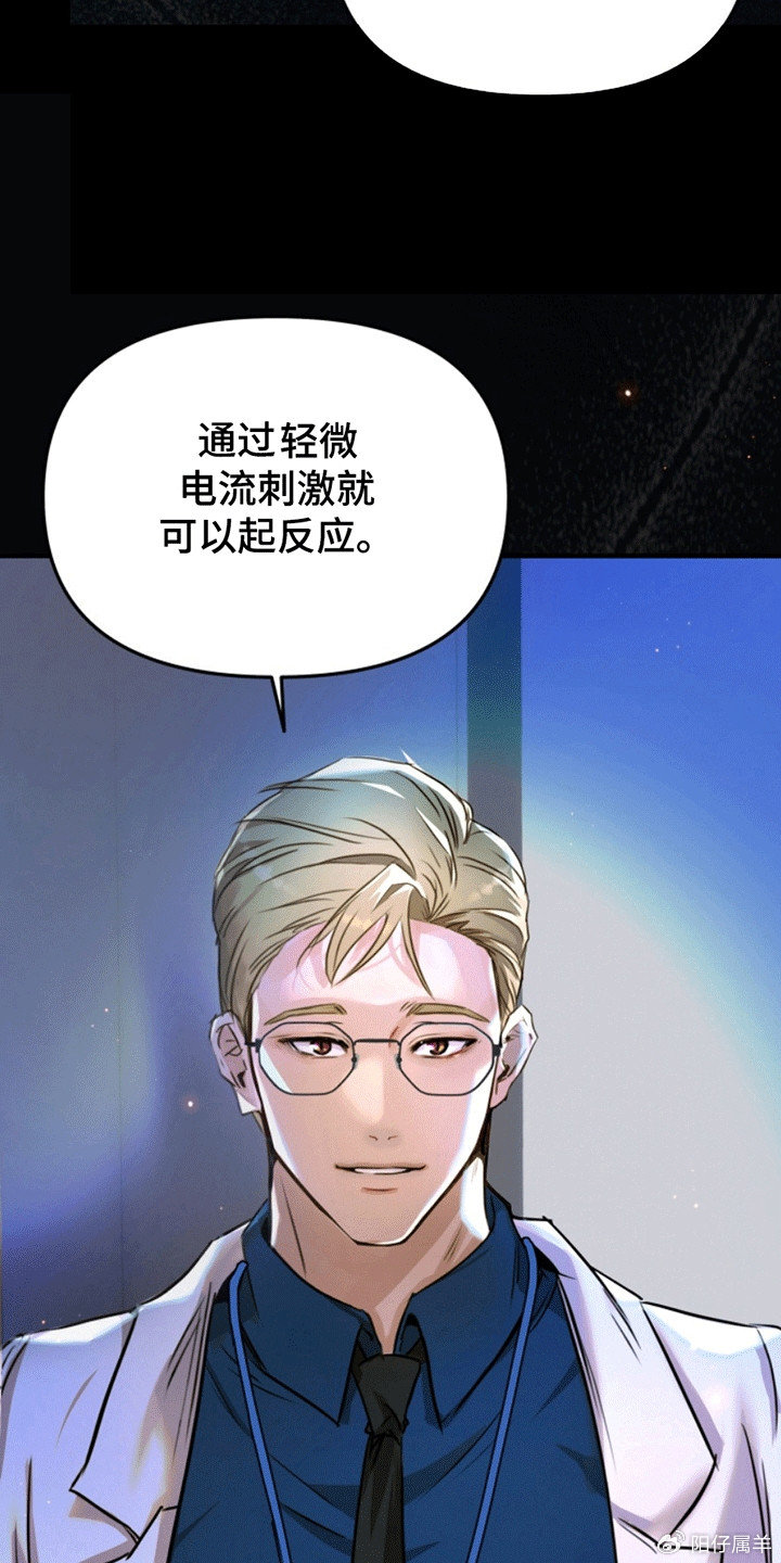 夜間診療室韓漫免費，探索醫(yī)療與娛樂的新領(lǐng)域，夜間診療室韓漫免費，醫(yī)療與娛樂的新領(lǐng)域探索