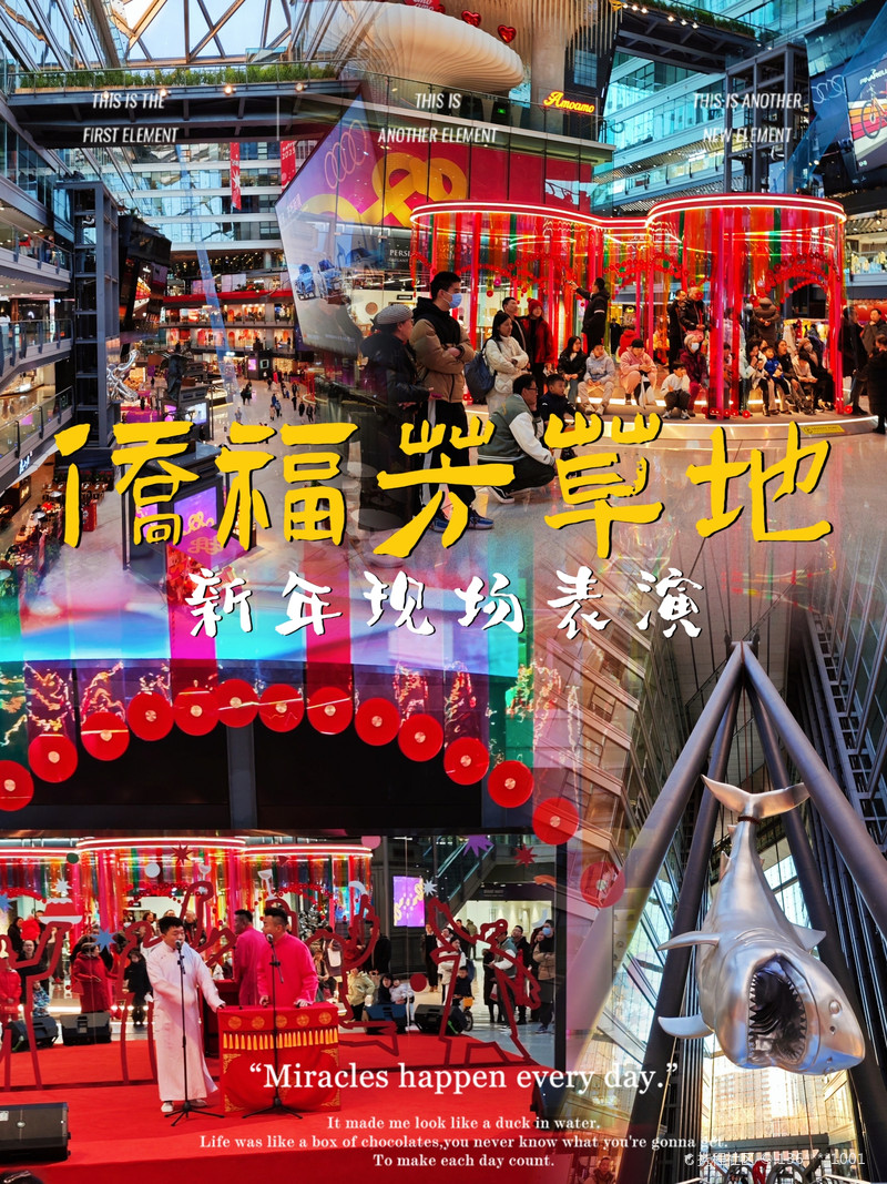 最新揭秘，2024新澳芳草地全方位資料詳解，揭秘2024新澳芳草地全方位資料，最新詳解