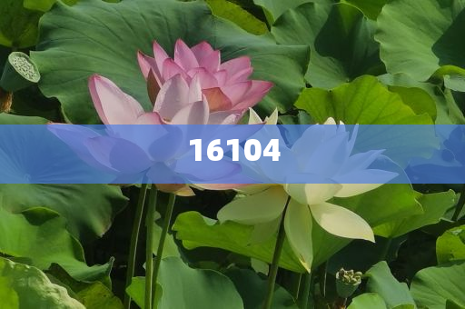 新奧600圖庫2025，探索與前瞻，新奧600圖庫2025，深度探索與未來展望