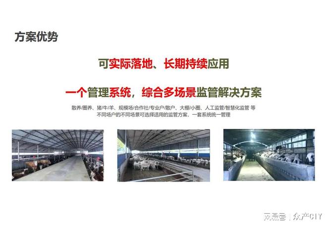 探索新澳芳草地，正版資料的免押之旅（2025年最新資訊），探索新澳芳草地，正版資料免押之旅（最新資訊）