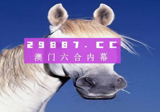 澳門今晚一肖一碼，探索與預(yù)測，澳門今晚一肖一碼，探索幸運與預(yù)測之謎