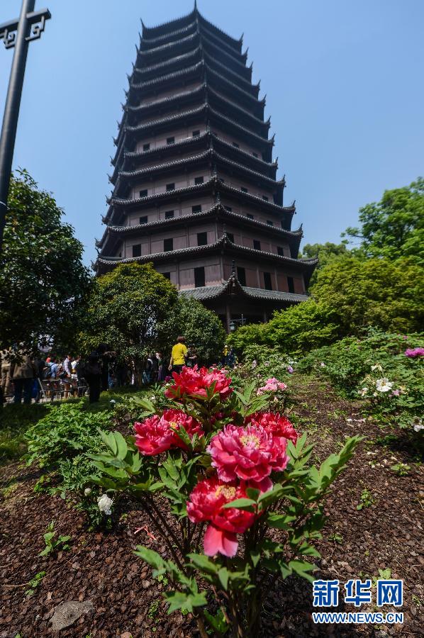 六和彩開碼資料網(wǎng)——探索彩票世界的門戶，六和彩開碼資料網(wǎng)，彩票世界探索之門
