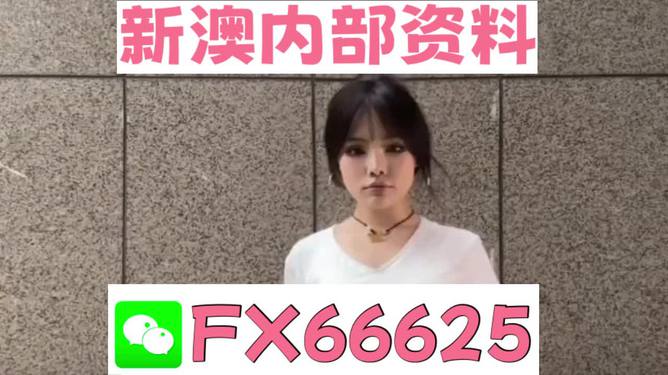 澳門資料大全正版資料查詢，探索澳門的文化與歷史深度之旅，澳門文化與歷史深度探索，正版資料大全及查詢指南