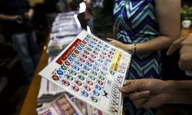生肖運勢預測