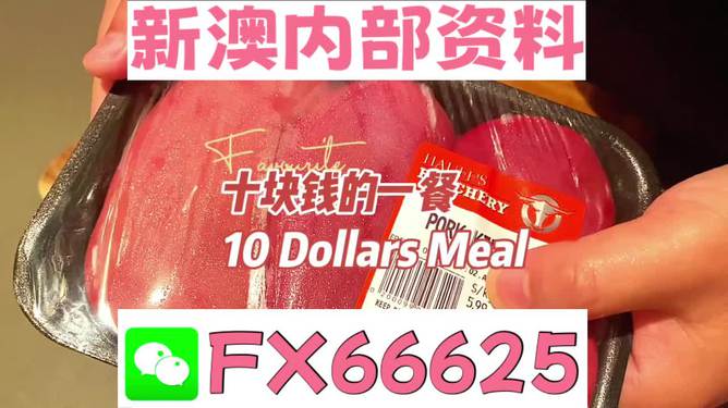 紅雙喜新澳資料，深度解析與SEO優(yōu)化策略，紅雙喜新澳資料深度解析與SEO優(yōu)化策略探討