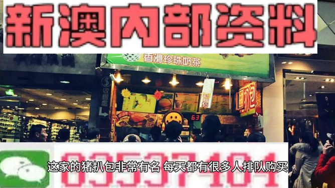 新澳天天開獎資料大全正版，全方位解析彩票魅力與正版資料重要性，新澳天天開獎資料正版解析，彩票魅力與正版資料的重要性