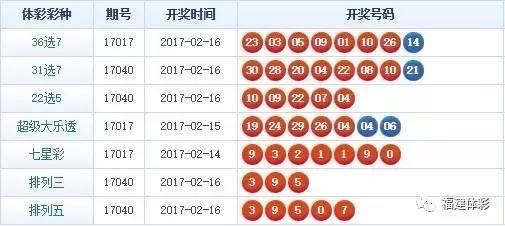 揭秘446999一肖中特馬，規(guī)律與策略解析，揭秘446999一肖中特馬規(guī)律與策略解析指南