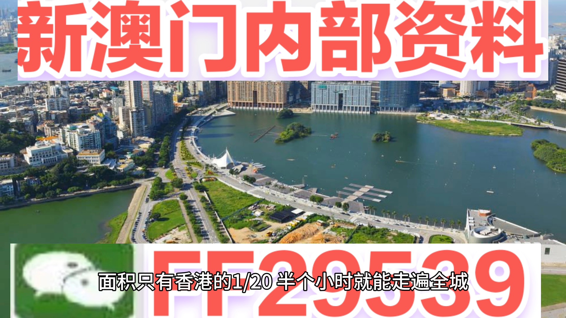 澳門彩票預(yù)測(cè)與探索，新澳門04期今晚資料分析（2025年），澳門彩票預(yù)測(cè)與探索，新澳門第04期今晚資料深度分析（2025年展望）