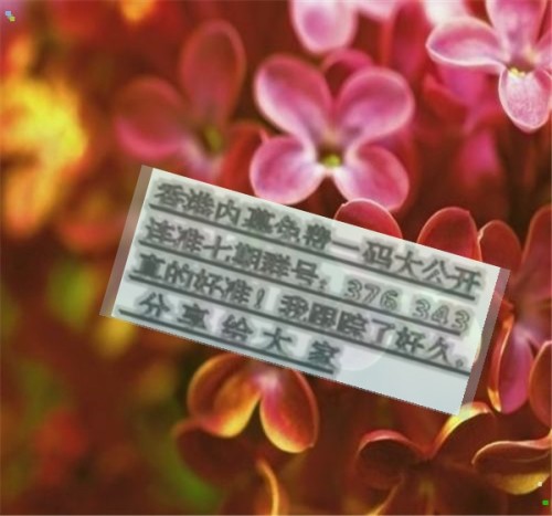 新聞咨詢 第53頁