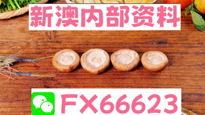 新澳正版資料免費(fèi)提供，全面解析與深度探索，新澳正版資料全面解析與深度探索，免費(fèi)提供的指南